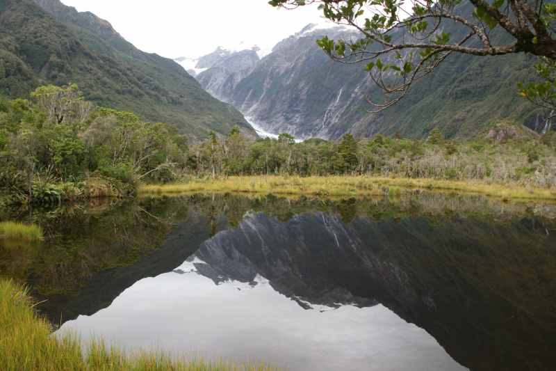 Nieuw-Zeeland 2011 - 1413
